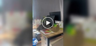 Первый день после праздников