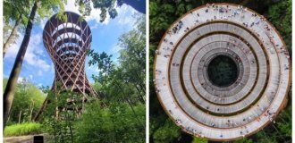 Датская лесная башня в форме песочных часов, парящих над деревьями (13 фото + 1 видео)