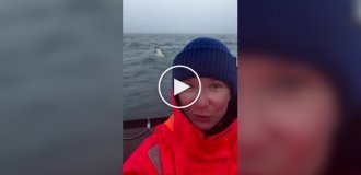 Женщина запечатлела белого медведя возле своей лодки