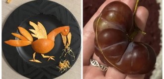 25 зображень з простими чудесами нашого світу, які змусять повірити у випадковість чи задум (26 фото)