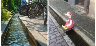 Бехле: від середньовічної каналізації до серця Фрайбурга, де долю вирішує струмок (17 фото + 1 відео)