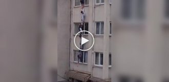 Кот отменил собственное спасение, ловко сбежав от пятерых мужчин