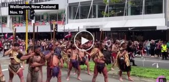 Maori took to the largest protest in the history of New Zealand