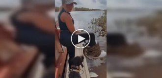 Девушка носит на ноге питона как браслет