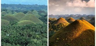 Шоколадные  холмы Бохоля - таинственные возвышенности, причуды которых филиппинцы  до сих пор не могут объяснить (18 фото + 1 видео)