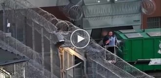 Man gets stuck in barbed wire while trying to escape from prison