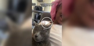 Девушка попыталась поговорить с котом на его языке