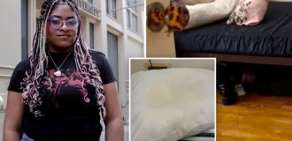 Студентка  Нью-Йоркского университета помочилась на соседку,  но из комнаты общежития выселили пострадавшую (5 фото + 1  видео)