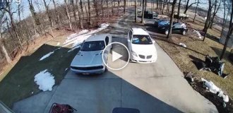 Один испугался, другой обрадовался: курьезная встреча пса и доставщика