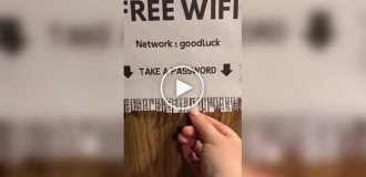 Пароль для любителей бесплатного Wi-Fi
