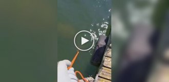 Unexpected find of workers