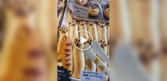 A Japanese bakery where all the baked goods are dedicated to cats