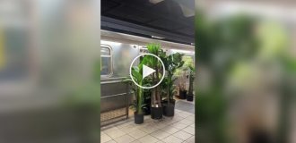 A gardener is making a big move.