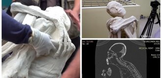 Three-fingered “alien mummies” from Peru again puzzled scientists (8 photos + 1 video)