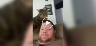 Man didn't pet his cat and was punished