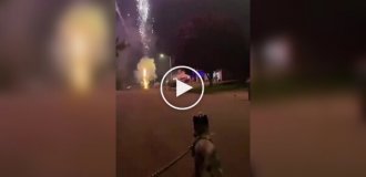 A deaf dog saw fireworks for the first time in his life