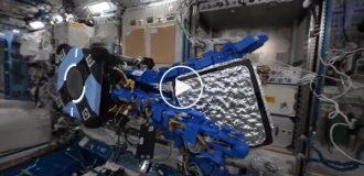 Робот-осьминог для расчистки орбиты от мусора