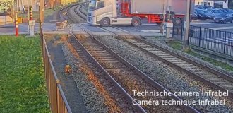 Даже знак не помог против особо одарённых (4 фото + 1 видео)