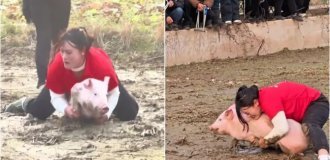 A 31-year-old Chinese woman has amassed a collection of 22 prize pigs (3 photos + 2 videos)