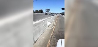 Driver couldn't stop his car and started praying