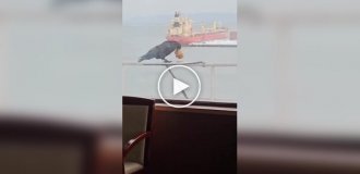 Жадная ворона и печенье