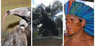 The statue "Indian and anteater" and its symbolism (6 photos)