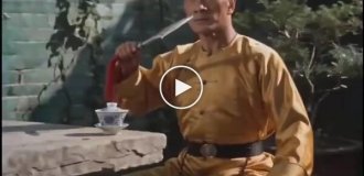 Старые китайские фильмы про кунг-фу, но с котами