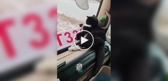 Самый важный пассажир