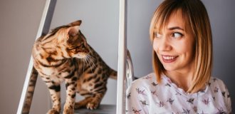 Эволюционные истоки и метаболическая уникальность домашних кошек