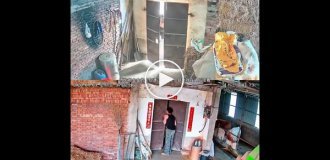 В попытке достать ключ мужчина и его отец застряли в дверном проеме