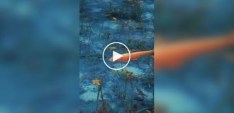 Красивый водоем, будто сошедший с картины художника