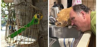 28 фотодоказательств того, что вселенная обладает превосходным чувством юмора (29 фото)