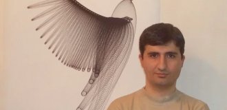 Art from formula (5 photos)