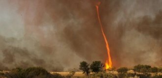 Пугающие чудеса природы: Как выглядит огненный смерч (5 фото)