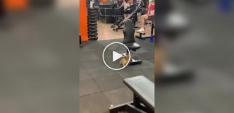 Motivation killer: a cat relaxes in the gym