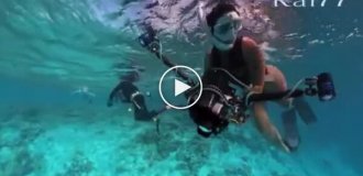 Нападение акул на девушку попало на видео