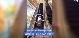 В торговом центре в Шанхае кошка безуспешно пыталась подняться по эскалатору