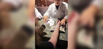 В Шанхае открылся бар, где врачи подбирают коктейли по пульсу и состоянию языка