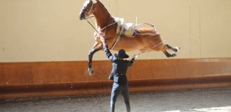 Стоит присмотреться: 17 забавных снимков из серии «Показалось» (17 фото)