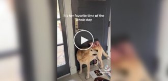 The postman greets the dog in a special way every day