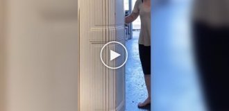 Необычные гибкие двери