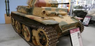 Рысь из Нормандии (5 фото)