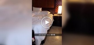 Ночь в отеле превратилась в кошмар: турист заметил неожиданного гостя в своей кровати