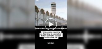 Пилоты самолета мяукали и гавкали во время полета