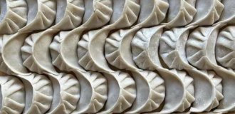 Подборка фотографий для перфекционистов (20 фото)