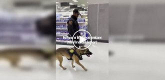 Служебный пес узнал своего первого хозяина и моментально растаял