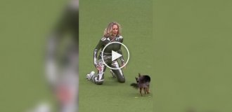 Хто танцює крутіше
