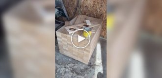 Оригинальный ящик для холодильника с пивом