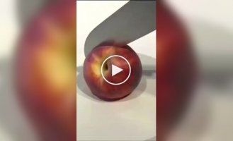 Хорошо замаскированные пирожные