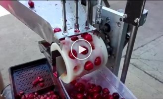 Getting rid of stones in cherries using automation